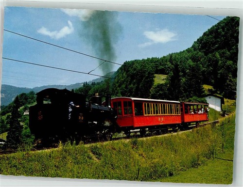 39874310 vitznau 100 jahre - -,