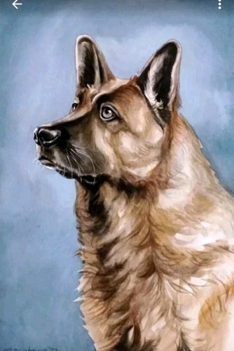 Original aquarelle - original,