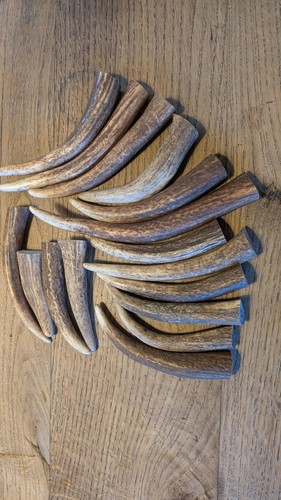Abwurfstangen abschnitte - abwurfstangen,