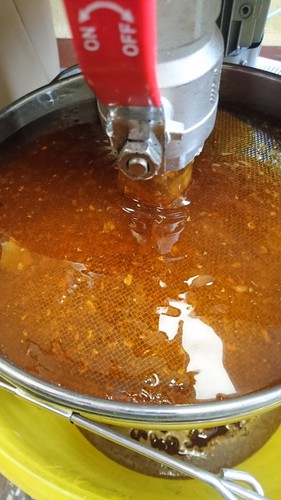 Honig 3kg eimer - honig,,