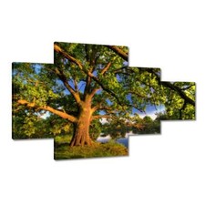 Leinwand Bild Wandbild Canvas