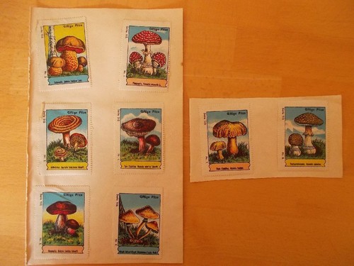 Vignetten giftige - 8,