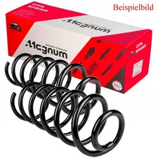 Magnum technology - magnum,