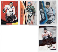 DEL 2009 bis 2013 Eishockey