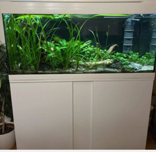 EHEIM Aquarium komplett mit Unterschrank gebraucht