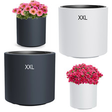 Runder Blumentopf mit Einsaitz