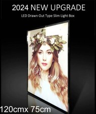 Linno® Großgröße 120cm