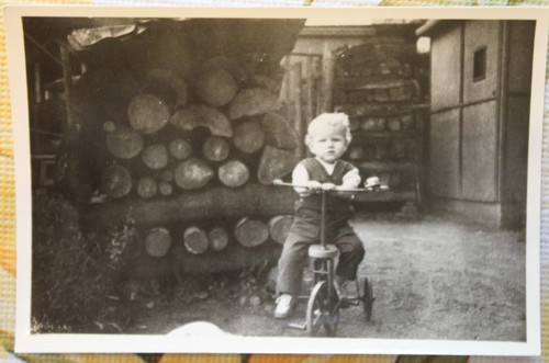 Foto 1963 sebnitz junge - 1963,