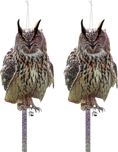 Eule vogelschreck stück - stück,