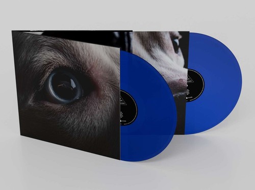 Roger waters the dark - waters,