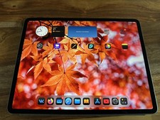 iPad Pro 12.9 Zoll (3