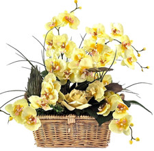 Casa-Poador Orchideen Gesteck