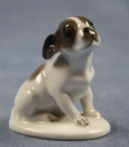 Französische bulldogge - französische,