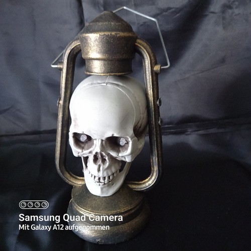Totenkopf laterne blinkt - laterne, blinkt-
