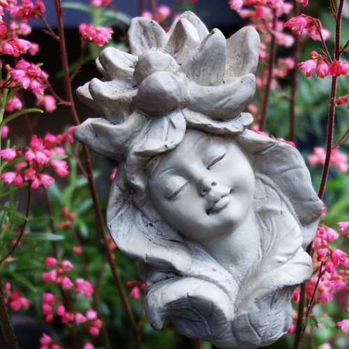 Blumenkind seerose garten - seerose,