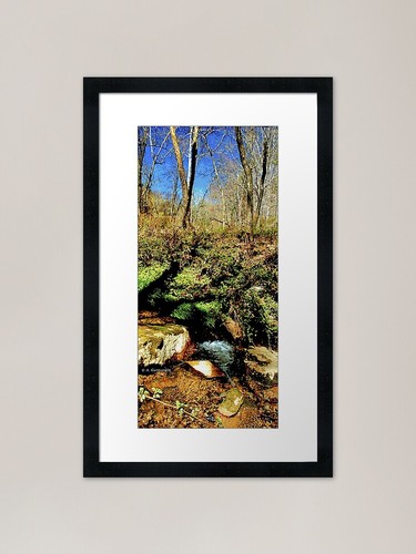 Kleiner wald feeder bach - kleiner,