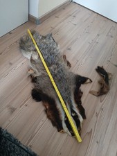 Dachsfell als jadliche deko - dachsfell,