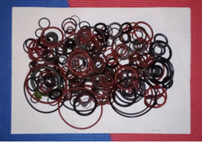 Saeco Dichtungen für