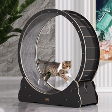 ! 4 Varianten ! CanadianCat -