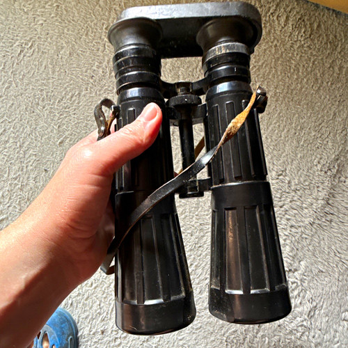 Carl zeiss dialyt - 8x56, b