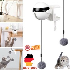 DE Haustier Katze Elektrischer