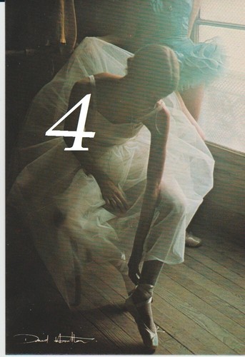 David hamilton postkarte 1 - hamilton",