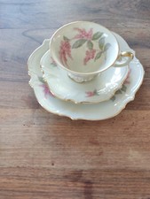 Hutschenreuthe Abt. Paul Müller Sammeltasse,Sammelgedeck elfenbein rosa Blüten