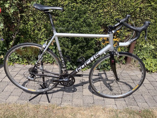 Rennrad focus izalco mit - focus,