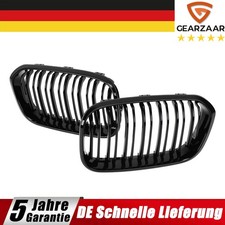 Nieren Grill Frontgrill