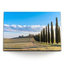 120x80cm Wandbild auf Leinwand