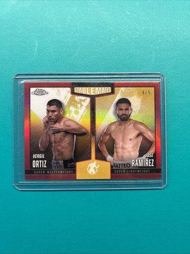 Stable mates vergil ortiz - mates,