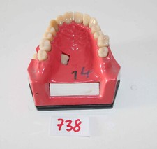 Go Dent Schaumodell Nr.  1