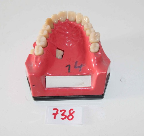 Dent schaumodell 1 - go, nr.