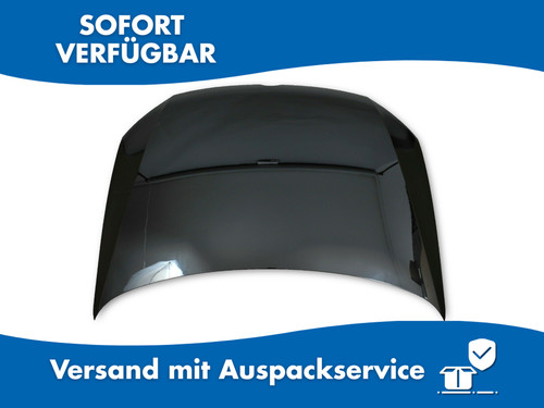 Motorhaube galvanisiert