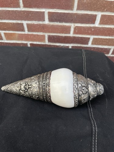 Muschelhorn asien tibet - -,