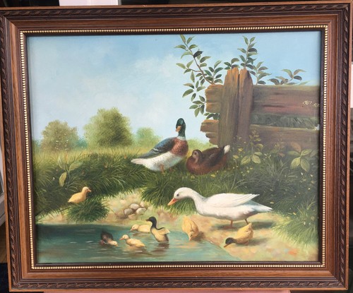 ölbild enten teich bild - ,