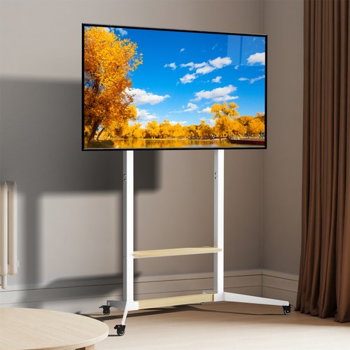 100 ständer mit rollen - tv,