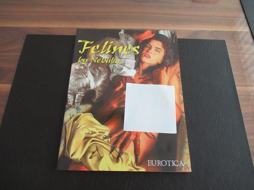 Comics für erwachsene - comics,