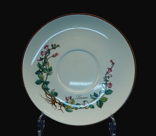Villeroy boch - villeroy,