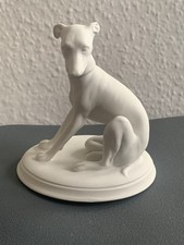 Windhund Greyhound Whippet