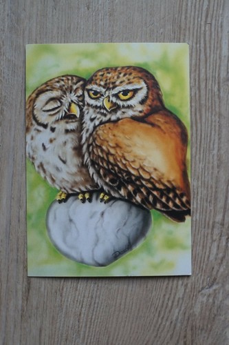 Eulenpostkarte postkarte - eulenpostkarte,,