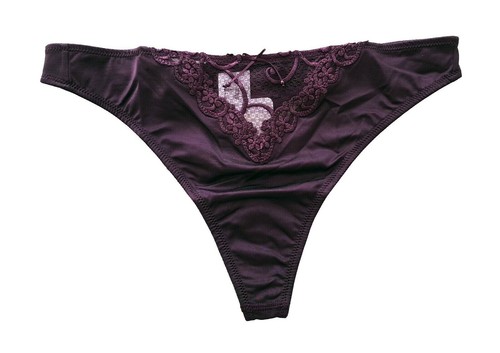 Rosa faia anita - faia, string