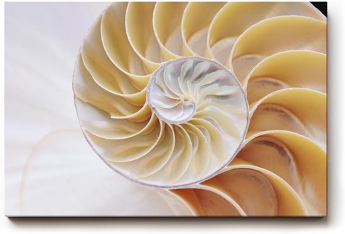Sinus art wandbild - art,