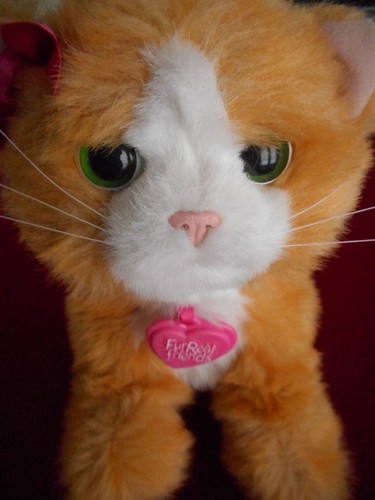 Furreal biscuit making kitten - making,