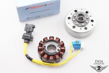 Lichtmaschine Polrad Stator