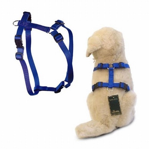 Hunter nylon hunde geschirr - hunter,