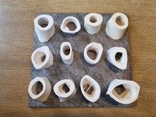 🐄 Rinder-Beinknochen –