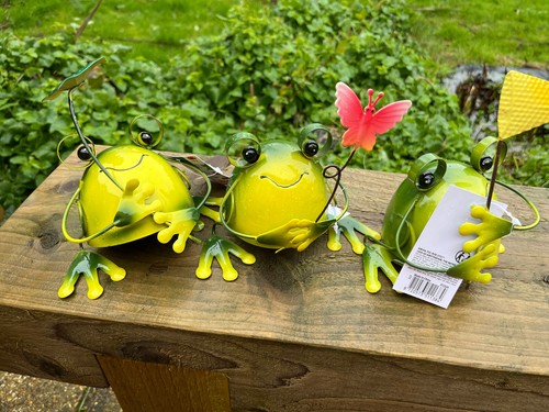 Grüner frosch ornament mit - grüner,