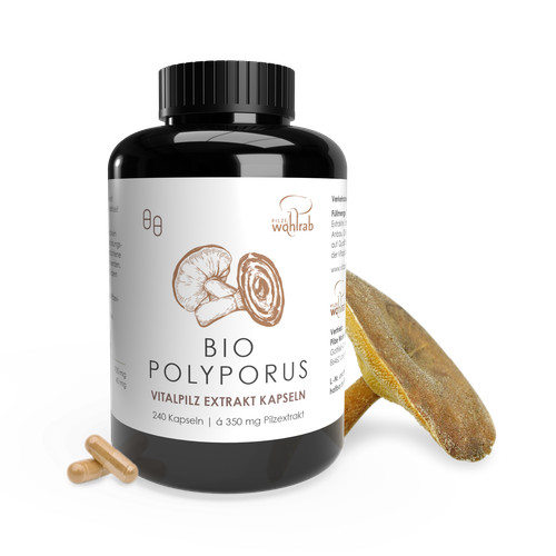 Pilze wohlrab bio polyporus - pilze,