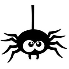 1x  SPINNE Autoaufkleber